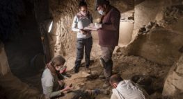 Bape_2020_escavação-1140x620