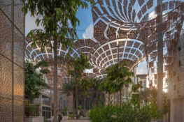 Expo 2020 Thematic District (5)