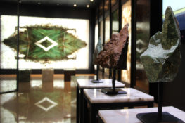 WhatsApp-Image-2021-09-08-at-15.00.03-1