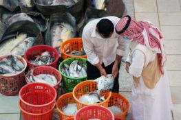 KUWAIT-DAILY LIFE-HEALTH-VIRUS