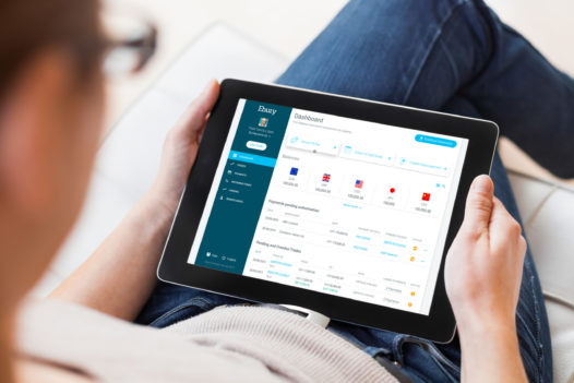 Woman Using Digital Tablet