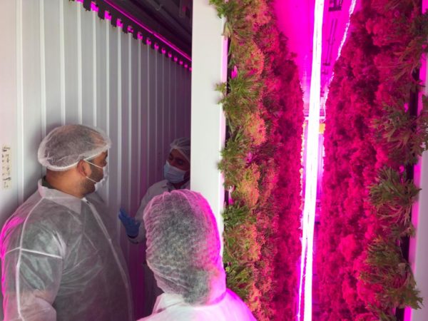 WhatsApp Image 2021-11-01 at 12.19.35