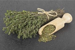 WhatsApp Image 2021-12-14 at 15.16.27