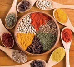 Egyptian company Mashreq seeks to enter Brazilian market