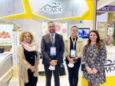 Brazilians, Egyptians discuss new forms of cooperation