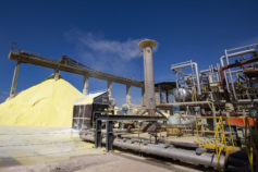 0-4F5Y0057_Uberaba-l