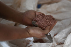 Brazil's Congress approves a bill to allow commercialization of pesticides