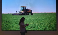 edit-WhatsApp Image 2022-03-10 at 14.48.44