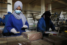 International Women's Day - Gaza Strip