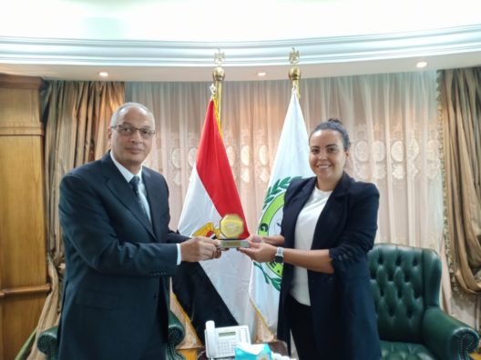 Brazilian businesses to have ease to enter Egypt