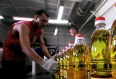 oleo de soja foto Vitaliy Ankov Sputnik 1 AFP