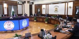 Arab Brazilian Chamber, Egypt government draft cooperation