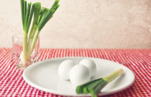 ovos foto IGOR STEVANOVIC Science Photo Library via AFP