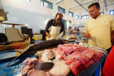 Libya: Third main buyer of Brazilian fish