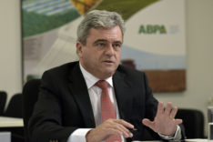 Brazil’s poultry exports to UAE up 66% in 2022 first half