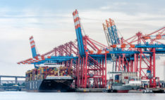 Egyptian exports up 20% in 2022 H1