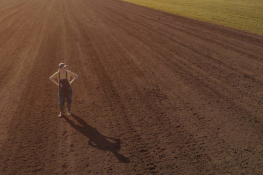 Farmer standing in ploughed field