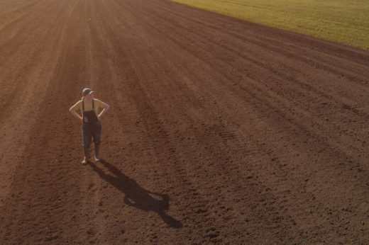 Farmer standing in ploughed field