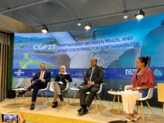 COP27: Brazil, Arab states want sustainability partnership