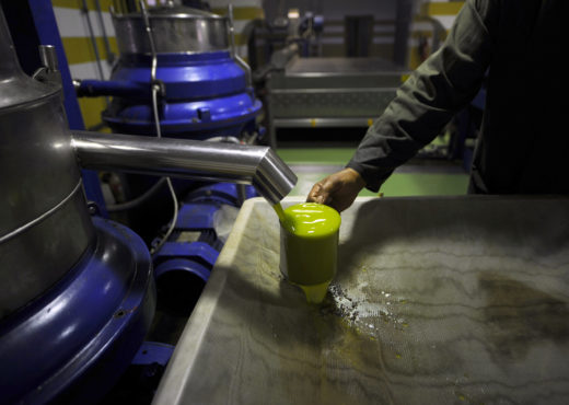 TUNISIA-AGRICULTURE-OLIVE-OIL