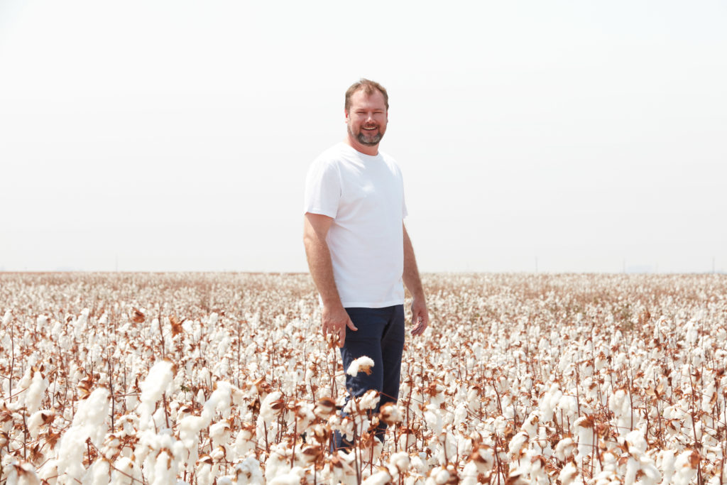 Com mercado aberto, Brasil busca vender algodão ao Egito