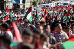 Course draws parallels between Palestine and Brazil