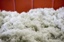 fibra textil foto James Hardy AltoPress AFP