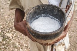 SOMALIA-SOMALILAND-ENVIRONMENT-AGRICULTURE-CULTURE