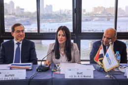 Egyptian Ministry of International Cooperation