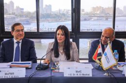 Egyptian Ministry of International Cooperation