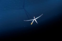 GERMANY-BALTIC-ENVIRONMENT-WIND