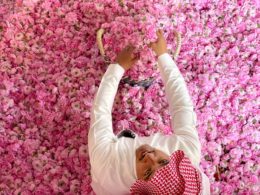 Saudi Arabia invests USD 17 million in rose production