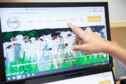 PlataformaPecuariaTransparente-Cred Tanajura Filmes bx