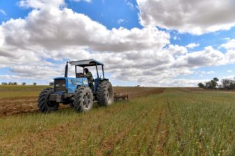 Unprecedented drought threatens grain harvest in Tunisia