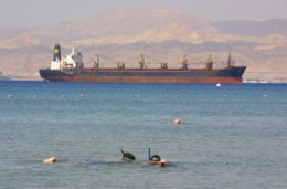 Exports from Amman-based industries up 10%