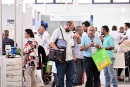 sipsa foto divulgacao