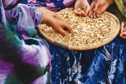 afp.com-20141230-partners-024-2082571-preview