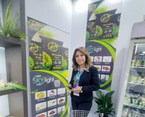 Egypt’s Sky Light wants to export food to Brazil