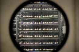 FRANCE-AGRICULTURE-FACTORY