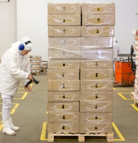 Carne bovina congelada foi o principal produto exportado para a Palestina até outubro