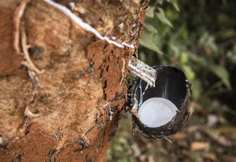 Alíquota para importar borracha sobe no Brasil