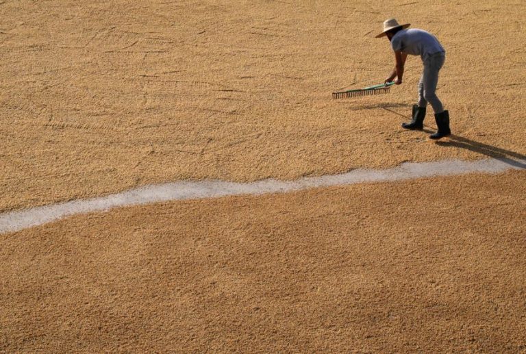 Climate crisis, food production: What’s next?