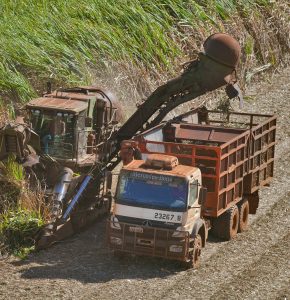 48258040341_486b44283b_k