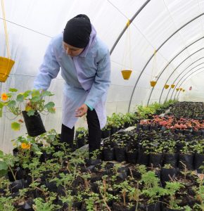 Agricultura foi um dos setores que mais receberam apoio financeiro por meio da autoridade de investimentos da Tunísia