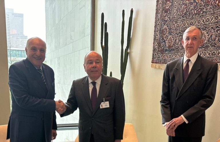 Ministers Vieira (C) and Attaf (L) shake hands at UN meeting