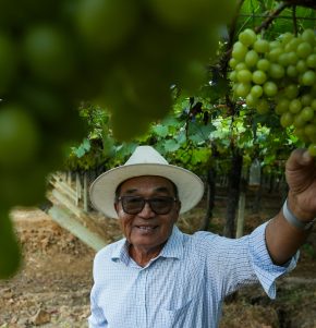 53736670393_9bdf2a57ad_k