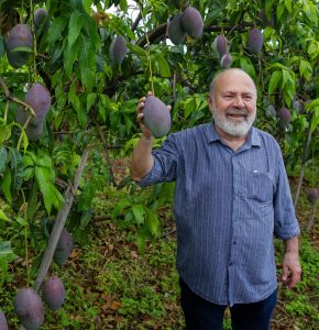O empresário Paulo Dantas, da Agrodan: manga ao gosto do cliente, direto das margens do Rio São Francisco