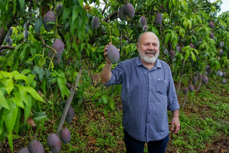 رجل الأعمال باولو دانتاس – شركة أغرودان: مانجا على ذوق المستهلك، مباشرةً من ضفاف نهر ساو فرانسيسكو.