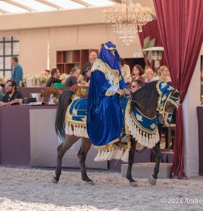 Mostra de cavalo árabe movimentará R$ 10 milhões