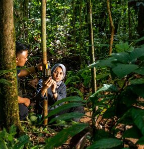 Fundo dos Emirados apoiará jovens ambientalistas
